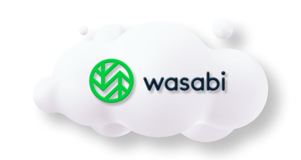 MSP360 With Wasabi Hot Cloud Storage