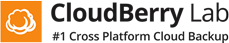 CloudBerry for Remote Support