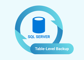 SQL Server Table Backup